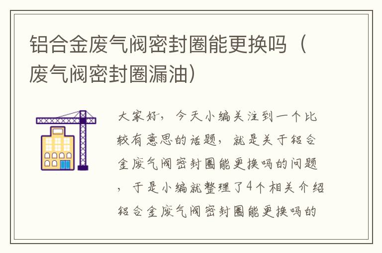 铝合金废气阀密封圈能更换吗（废气阀密封圈漏油）