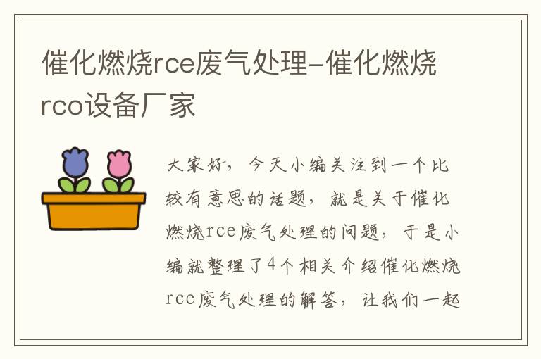 催化燃烧rce废气处理-催化燃烧rco设备厂家