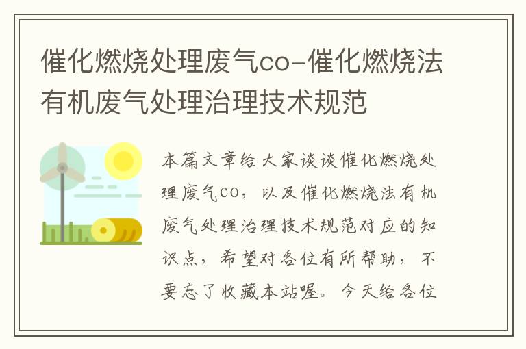 催化燃烧处理废气co-催化燃烧法有机废气处理治理技术规范