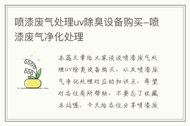 喷漆废气处理uv除臭设备购买-喷漆废气净化处理