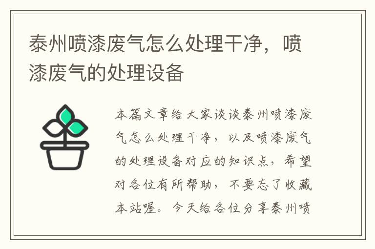 泰州喷漆废气怎么处理干净，喷漆废气的处理设备