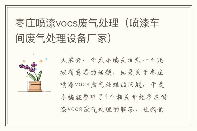 枣庄喷漆vocs废气处理（喷漆车间废气处理设备厂家）