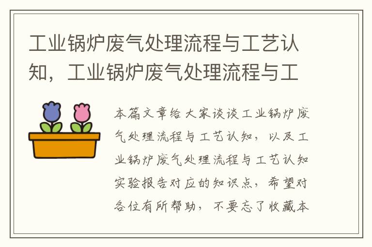 工业锅炉废气处理流程与工艺认知，工业锅炉废气处理流程与工艺认知实验报告