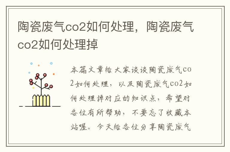 陶瓷废气co2如何处理，陶瓷废气co2如何处理掉